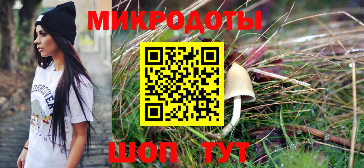 Псилоцибиновые грибы мицелий Приморско-Ахтарск